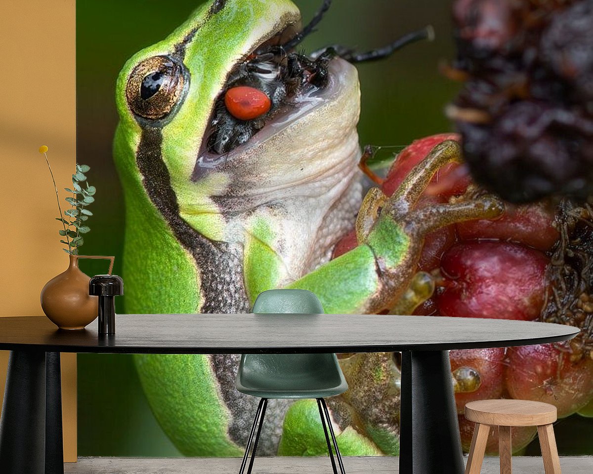 Raumvorschau