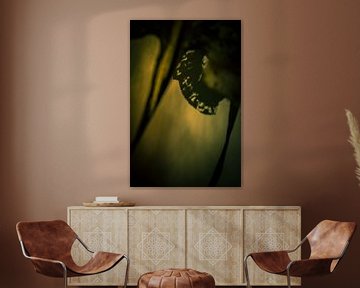Abstract doorkijkje van Mariska Vereijken