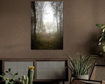 Ochtend mist