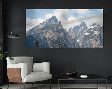 Grand Teton National Park, USA, Visarend bij een nest hoog in de bomen van Jeroen van Deel