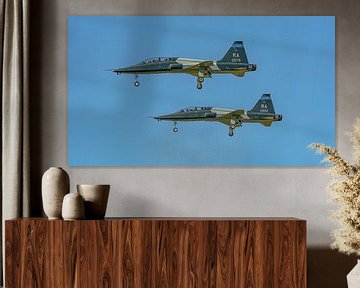 Two ship U.S. Air Force Northrop T-38 Talon. van Jaap van den Berg
