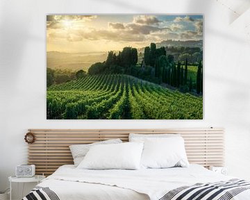 Gouden zonsondergang over wijngaarden in Casale Marittimo, Toscane van Stefano Orazzini