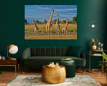 quatre girafes van Jürgen Ritterbach