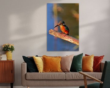 Eisvogel auf Ast von Niels Jansen