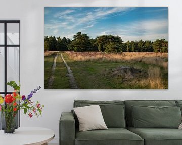 paysage de landes de blanchiment sur peters-fotos.nl