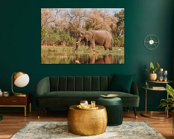 Olifanten voeden zich in de Okavango Delta gezien vanuit een kano van Geke Woudstra