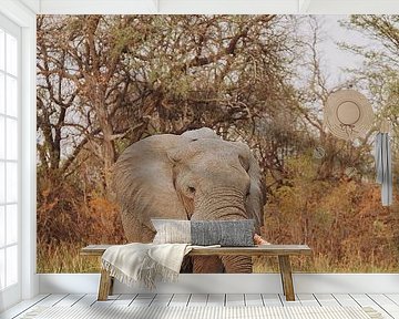 Elefantenfütterung im Okavango-Delta vom Kanu aus gesehen