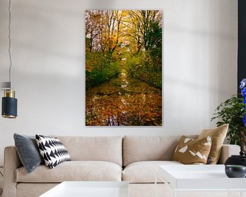 Le pouvoir de la nature en automne sur Dennis van der Geest