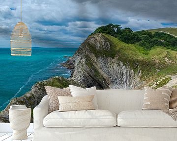 De ruige kust van Zuid Engeland, Dorset