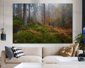 Mistig Herfstbos