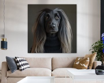 Afghan hound dressed for winter