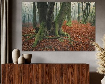 Speulderbos [Mistige Herfstochtend] van rosstek ®