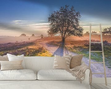 Sunrise over a moorland in the Veluwe, Holland by Fotografiecor .nl