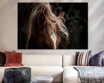 Paard Zachte Gratie Het Poëtische Portret van een Paard