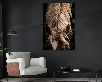 Paard Natuurlijke Gratie Het Portret van Femke Ketelaar