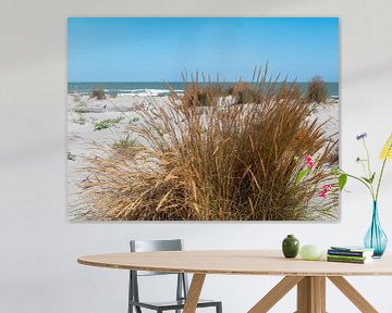 Kustlandschap met duingras op een natuurlijk strand aan de Adriatische Zee in Italië van Animaflora PicsStock