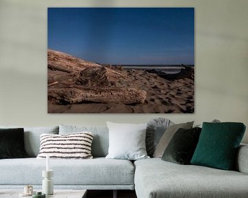 Sterrenhemel op een natuurlijk strand met drijfhout aan de Adriatische Zee in Italië van Animaflora PicsStock