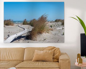 Kustlandschap met drijfhout op een natuurlijk strand aan de Adriatische Zee in Italië van Animaflora PicsStock