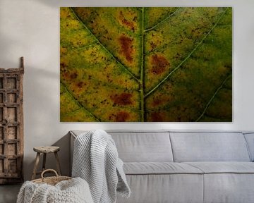 Groene bladeren