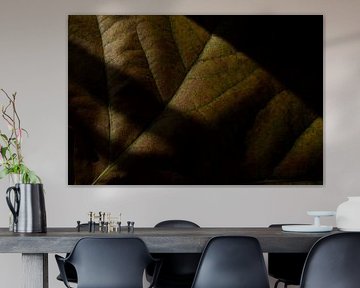 Leaf with shadows