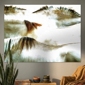 Horse landscape - Pferderücken