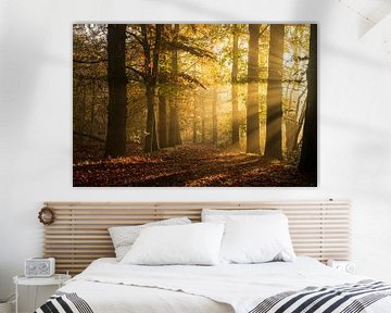 Het lichtspel van een herfstige ochtend van Zwoele Plaatjes