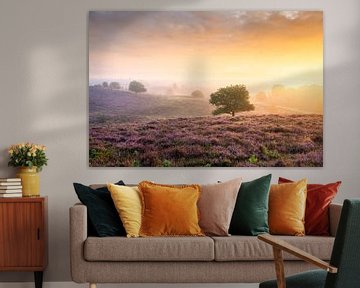 Kleurrijke zonsopkomst en paarse heide op de Posbank van Sander Grefte