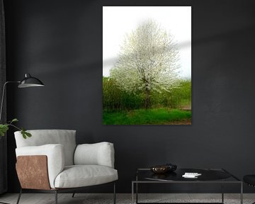 Fruitboom in de lente