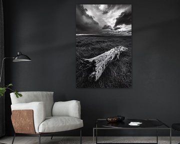 Dramatic black-and-white landscape nature by Imperial Art House