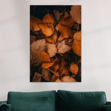 Herbstblätter