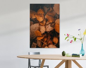 Herbstblätter