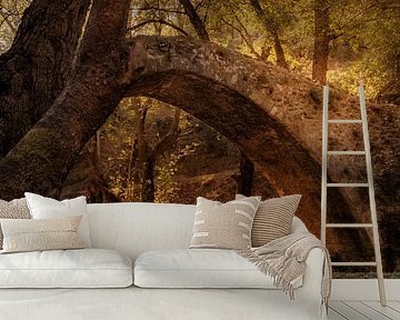 Tzelefos Bridge, Venetian bridge in Cyprus in autumn