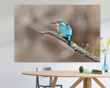IJsvogel
