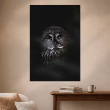 Der schöne Sperlingskauz schaut mir direkt in die Linse