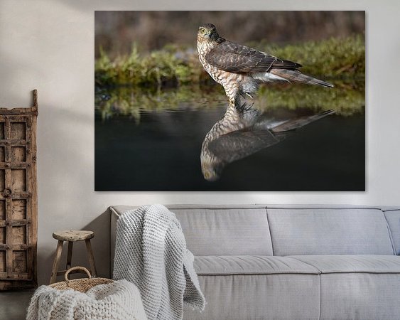 Aperçu de la chambre