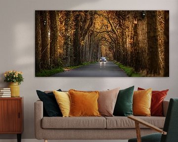 Die Lange Laan bei Burgum, Friesland, in einer nachmittäglichen Herbstfärbung von Harrie Muis