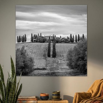 Italien im Quadrat schwarz-weiß, Toskana - Genna Borborini Maria Eva