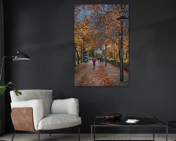 Le canal de Leeuwarden, en Frise, aux couleurs de l'automne sur Harrie Muis