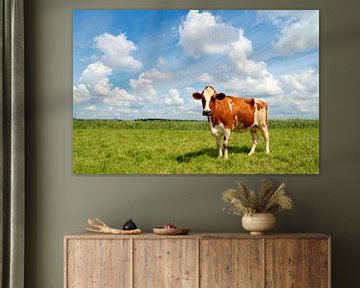 Nieuwsgierige jonge koe staande in een weiland. van Jan Brons