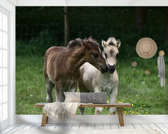 Raumvorschau