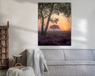 Morning red on the Heath by Trudiefotografie