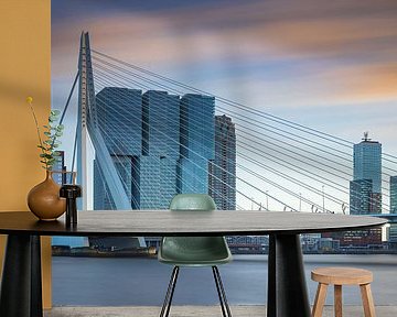 Skyline van Rotterdam van gaps photography