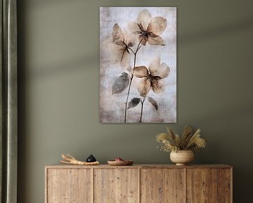 Gedroogde bloemen van I ❤ Bloemen