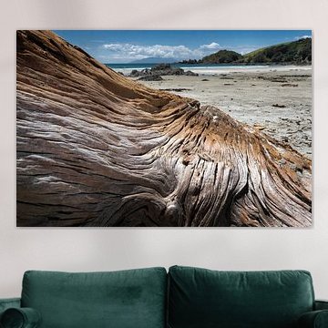 Holzstruktur am Strand in Neuseeland von Albert Brunsting