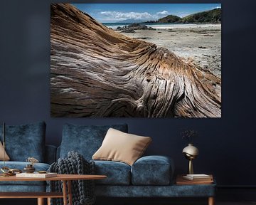 Wood structure on the beach in New Zealand by Albert Brunsting
