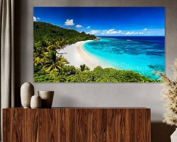 Strand met palmbomen en zee
