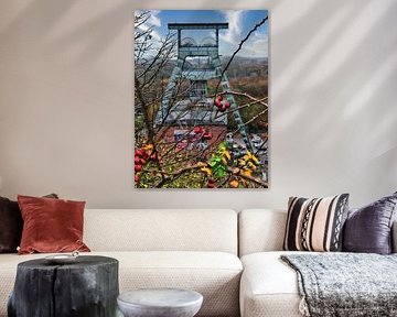 Églantine et mine de charbon