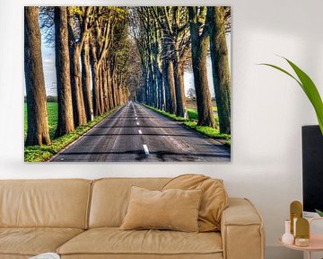 Polsum Bertlicher Strasse