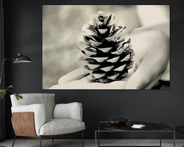 Dennenappel - Pine Cone sur Elly Michiels-Fleuren