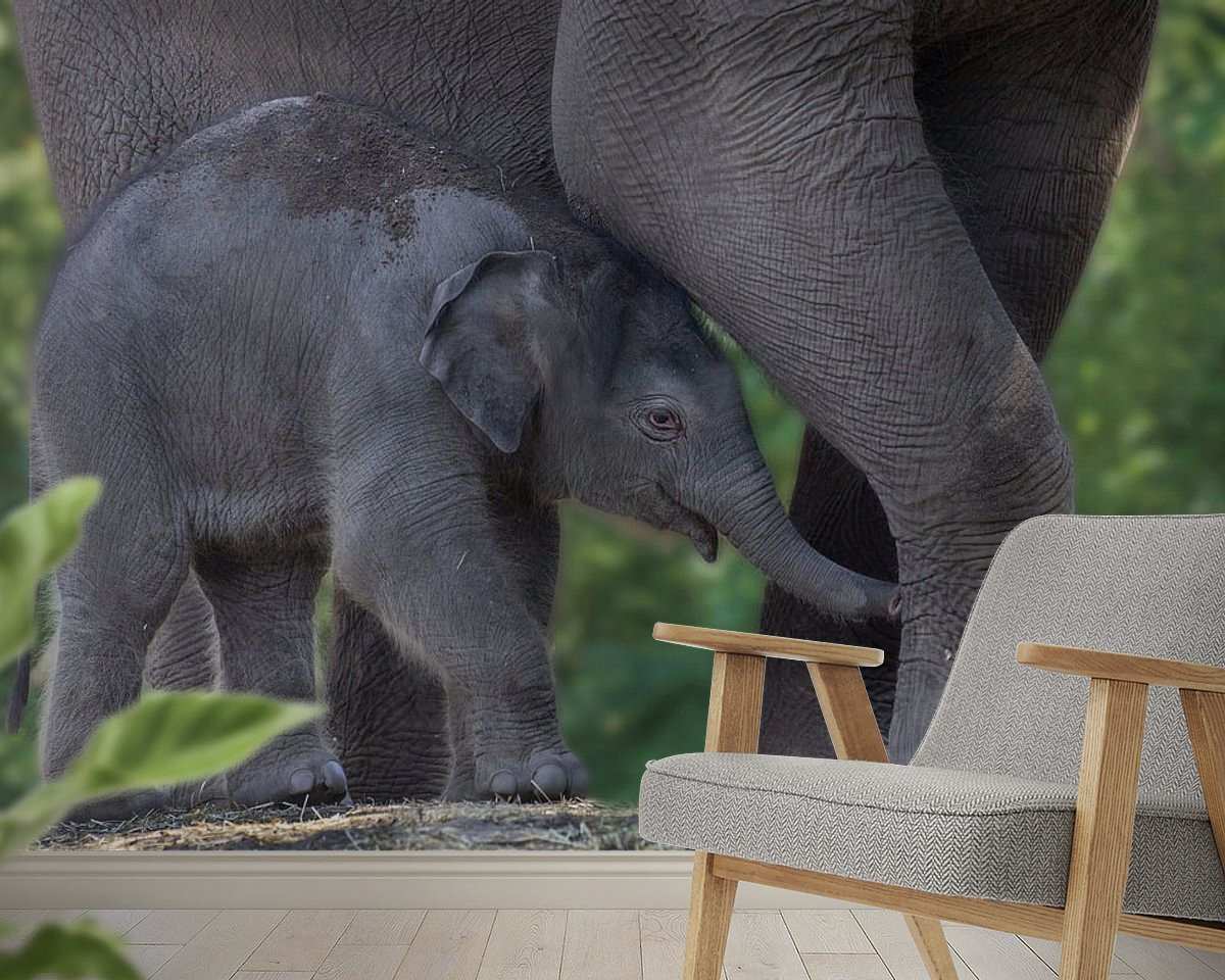 Raumvorschau